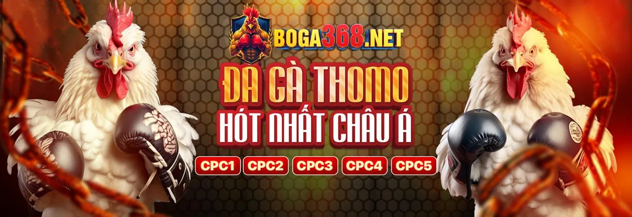 Chương Trình VIP daga88 z Độc Quyền và Sang Trọng
