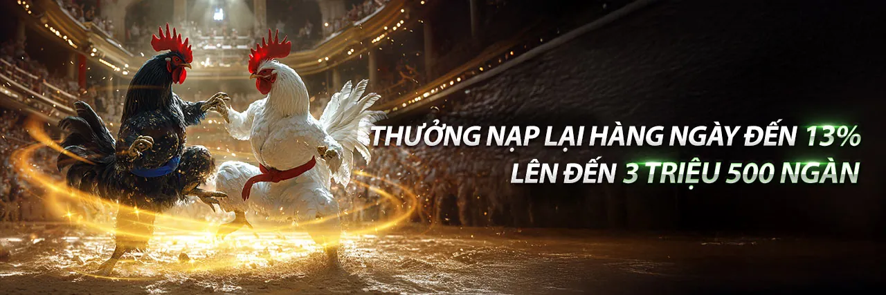 Hình ảnh bảo mật cá cược trực tuyến daga88 z